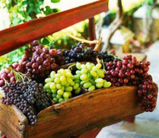 Rượu nho nguyên chất, rượu vang, mật nho, rượu nho phan rang
